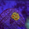 Zoa Premium WYSIWYG #2